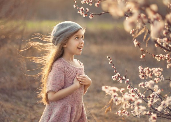 Весенний ветер