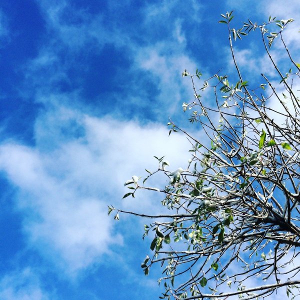 Ранняя Весна ветер