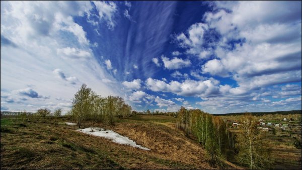 Весна первая зелень