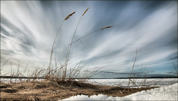 Весенний ветер