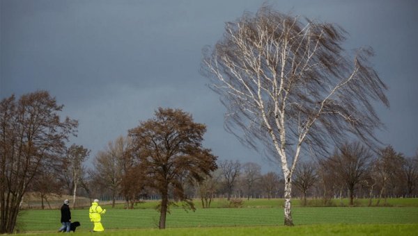 Весенний ветер