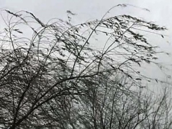 Сильный ветер