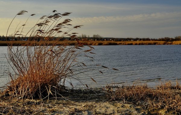 Весна ветерок