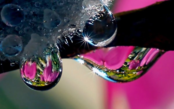 Яркие краски в капельках