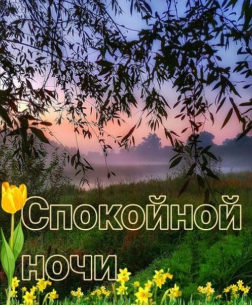 Открытки спокойной ночи с природой