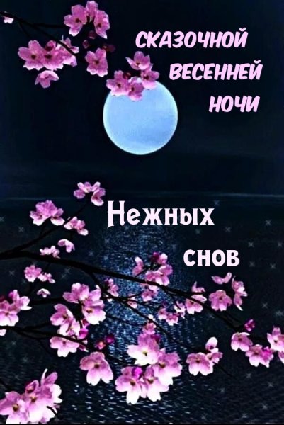 Доброй весенней ночи картинки с надписями