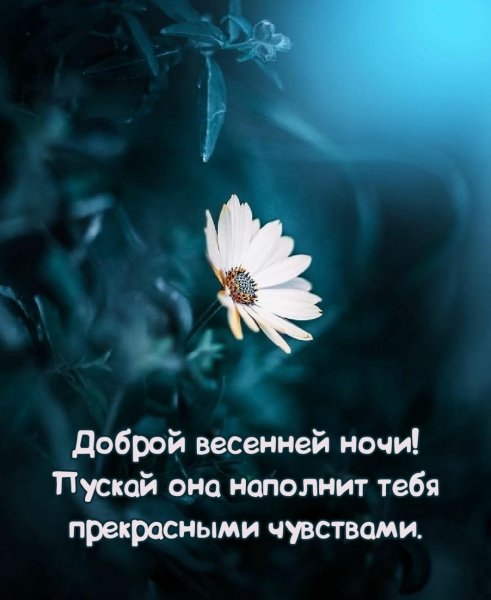 Спокойной и легкой ночи