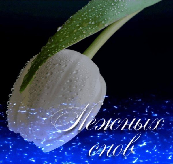 Доброго вечера и спокойной ночи