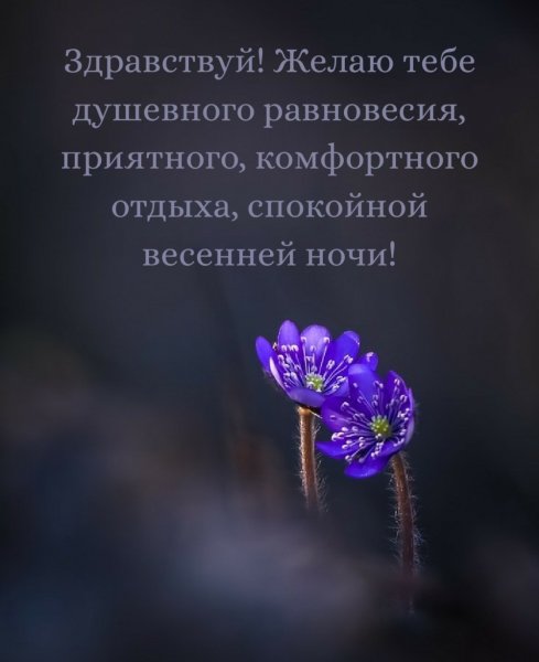 Цветочное поле