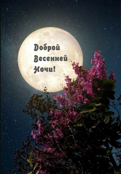 Спокойной весенней ночи