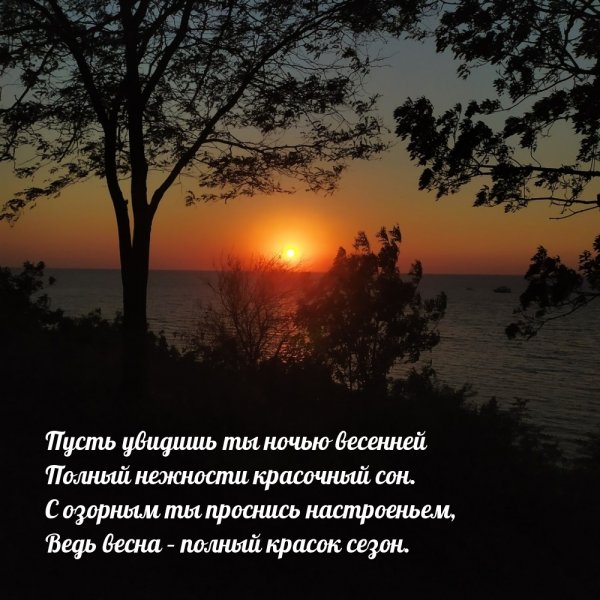 Доброй весенней ночи