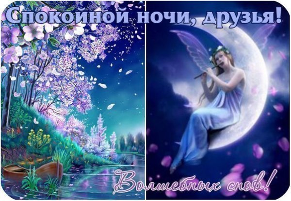 Спокойной ночи цветы