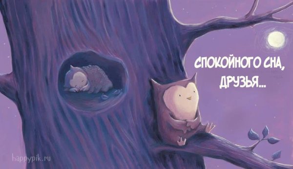 Спокойной ночи друзья