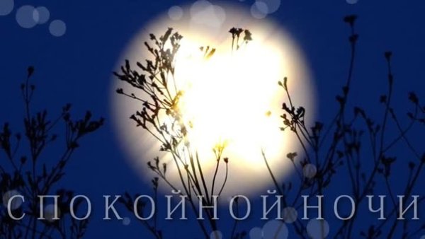 Открытки волшебной ночи