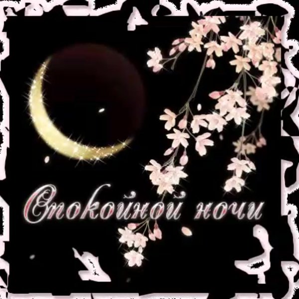 Доброго вечера и спокойной ночи