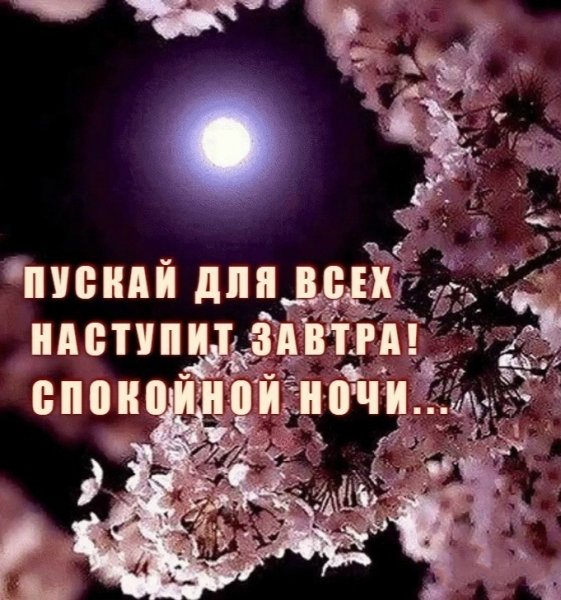 Спокойной ночи сладких снов