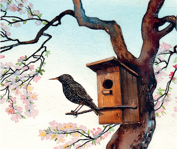 Весна презентация