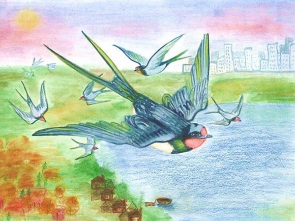 Птицы для детей