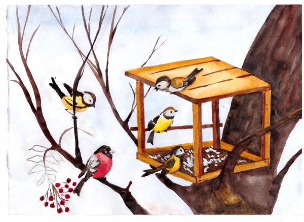 Художник Тимм Сэм (Timm Sam)