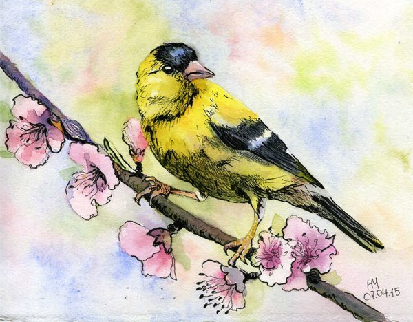 Весна прилет птиц