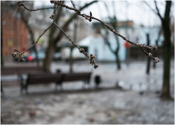 Настроение Весна грусть