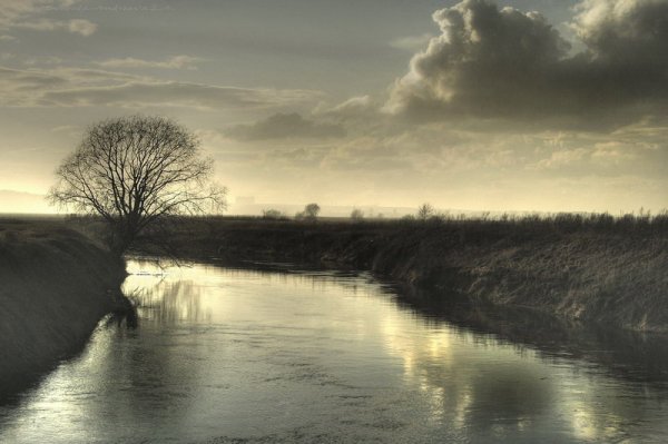Весенняя грусть