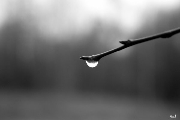 Грустная Весна