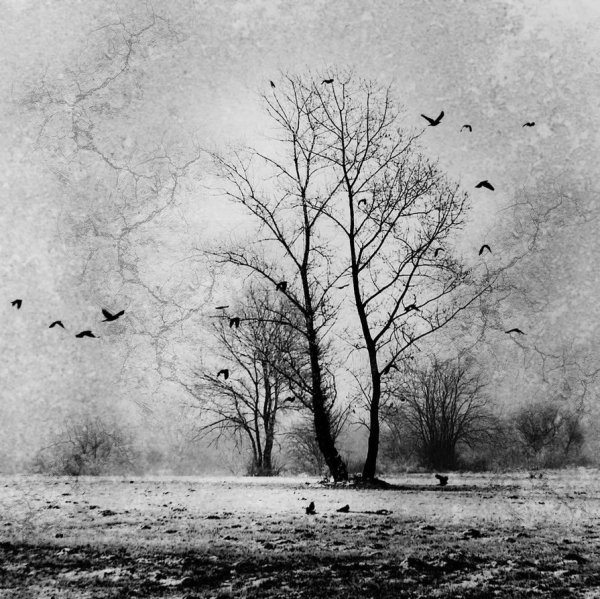 Доброе Весеннее Снежное утро