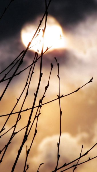 Грустная Весна