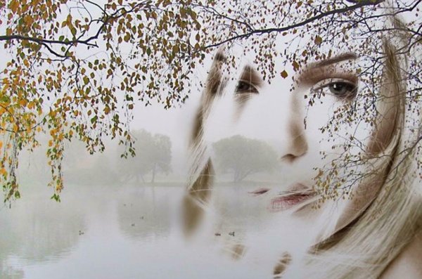 Осень дождь черно белое