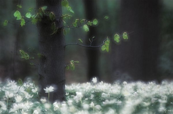 Температурные качели