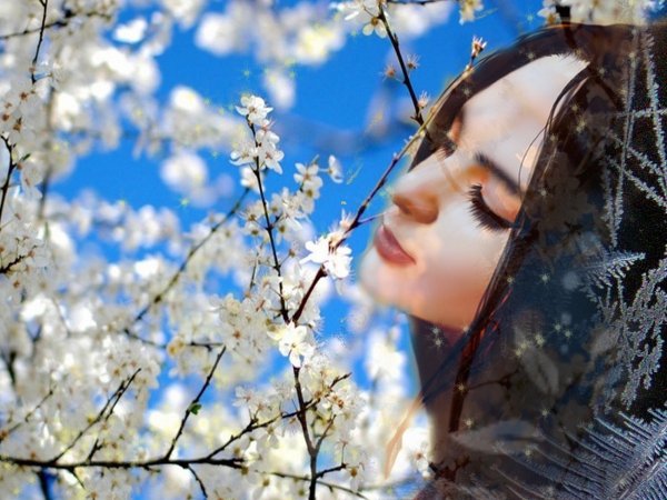 Ветки черно белые