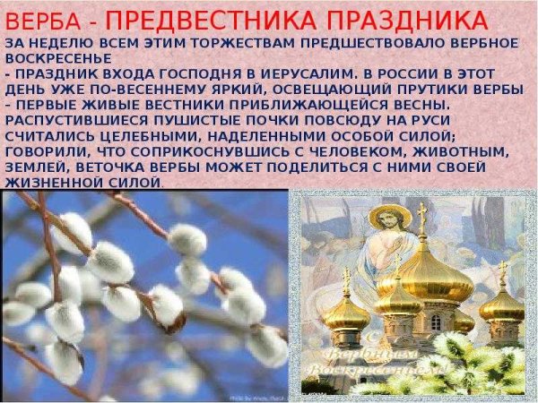 Сергей Сочивко Масленица