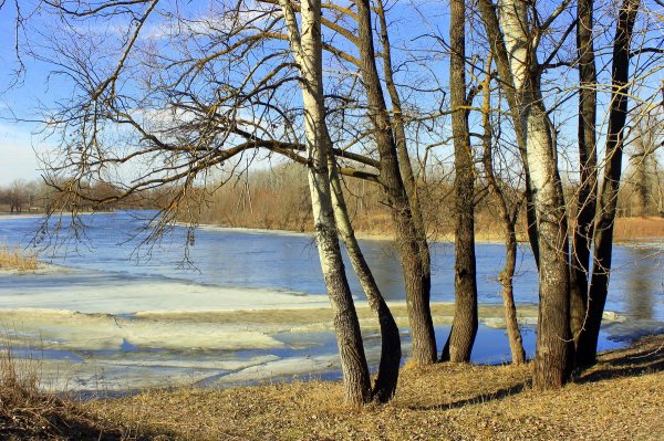 Картина Рахманинова весенние воды