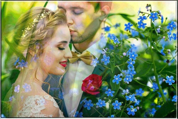 Незабудки и любовь