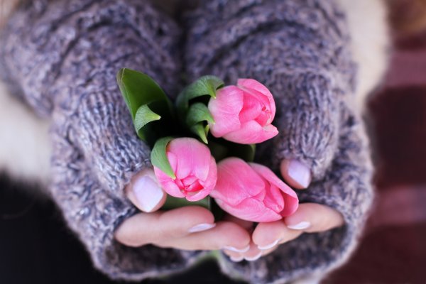 Цветы в ладошках