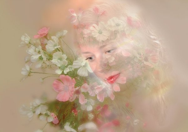 Душевные нежные цветы