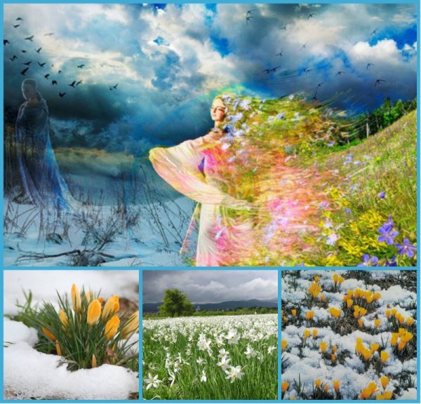 Художник Елена Ведерникова Ижевск