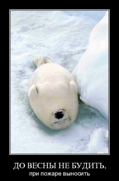 Оксана Мальцева Минусинск