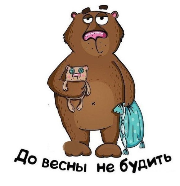Медведь просыпается весной