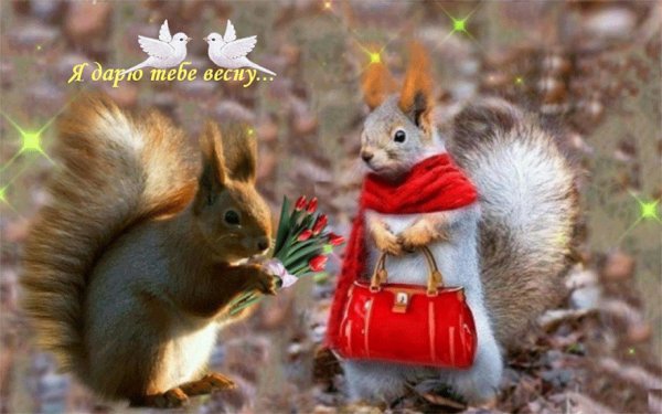 Девушка ждет весну