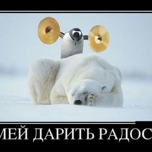 Приколы про весну