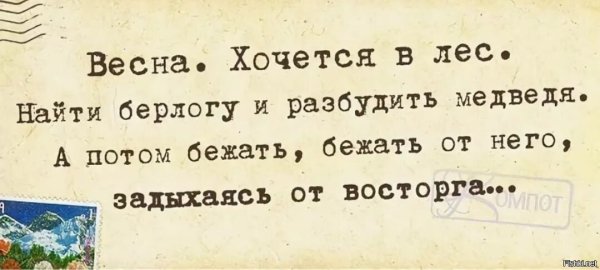 Весна подснежники