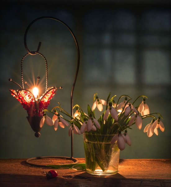 Уютного весеннего вечера