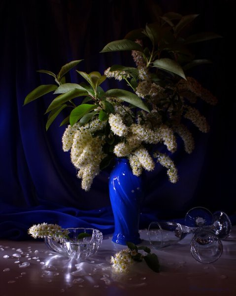 Вечерние зимние цветы