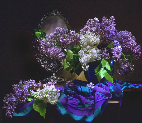 Доброй весенней ночи