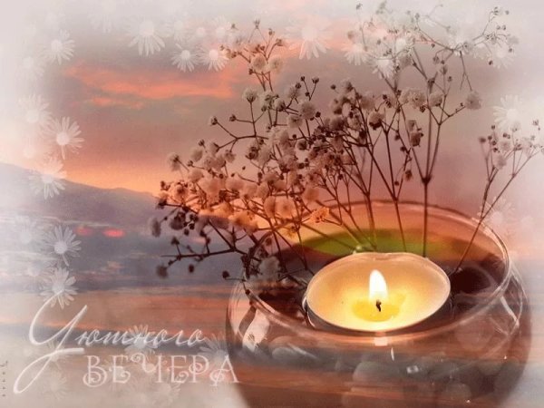 Добрые пожелания с тюльпанами