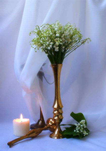 Добрый вечер ромашки