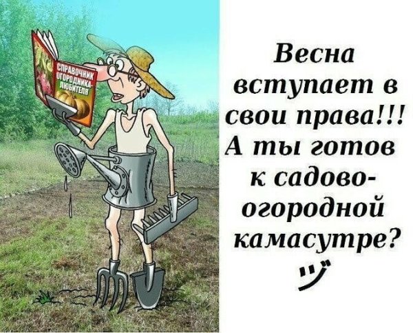 Огород весной