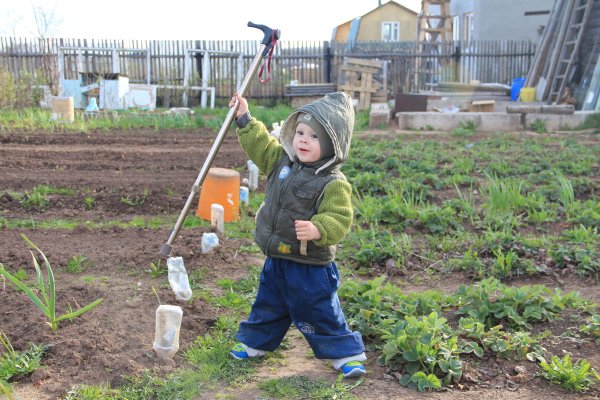 Женщина на даче